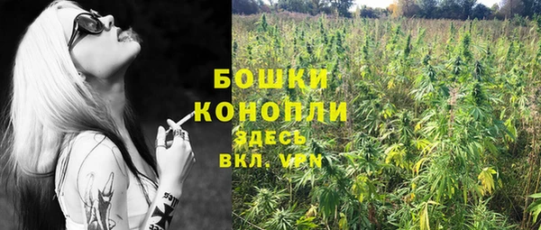 ПСИЛОЦИБИНОВЫЕ ГРИБЫ Белокуриха