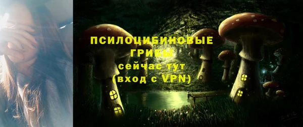 ПСИЛОЦИБИНОВЫЕ ГРИБЫ Белокуриха