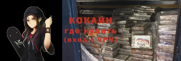 ПСИЛОЦИБИНОВЫЕ ГРИБЫ Белокуриха