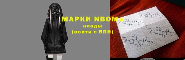ПСИЛОЦИБИНОВЫЕ ГРИБЫ Белокуриха