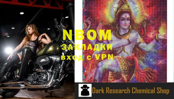 ПСИЛОЦИБИНОВЫЕ ГРИБЫ Белокуриха