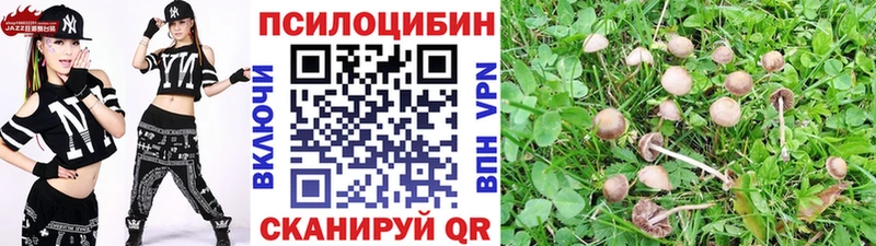 Псилоцибиновые грибы MAGIC MUSHROOMS  Светлогорск 