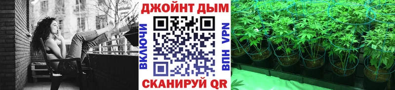 Конопля конопля  Светлогорск 